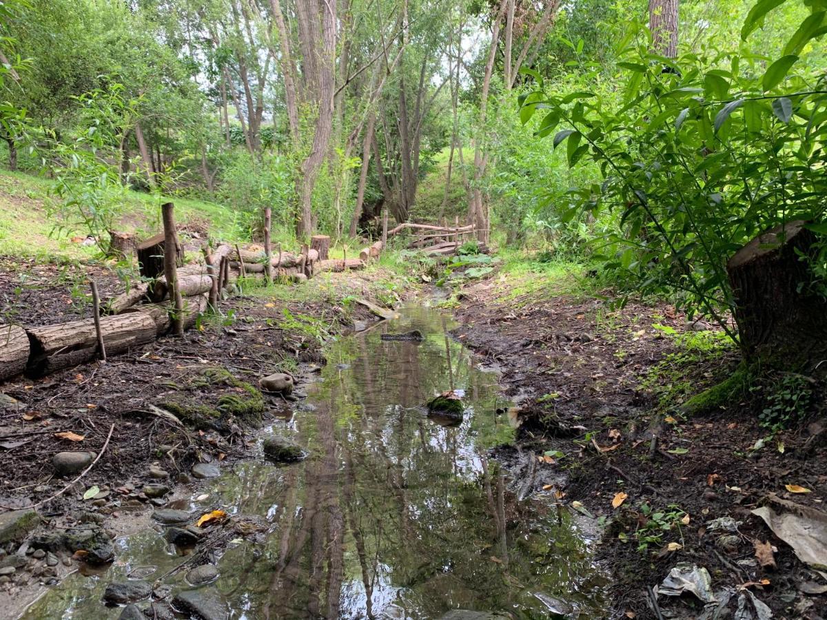 Casa Rurala Cu Livada Lavandra Câmpina Buitenkant foto