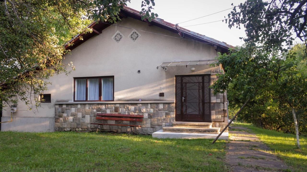 Casa Rurala Cu Livada Lavandra Câmpina Buitenkant foto