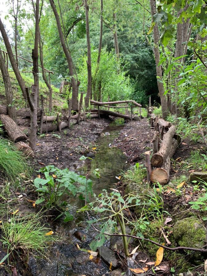 Casa Rurala Cu Livada Lavandra Câmpina Buitenkant foto