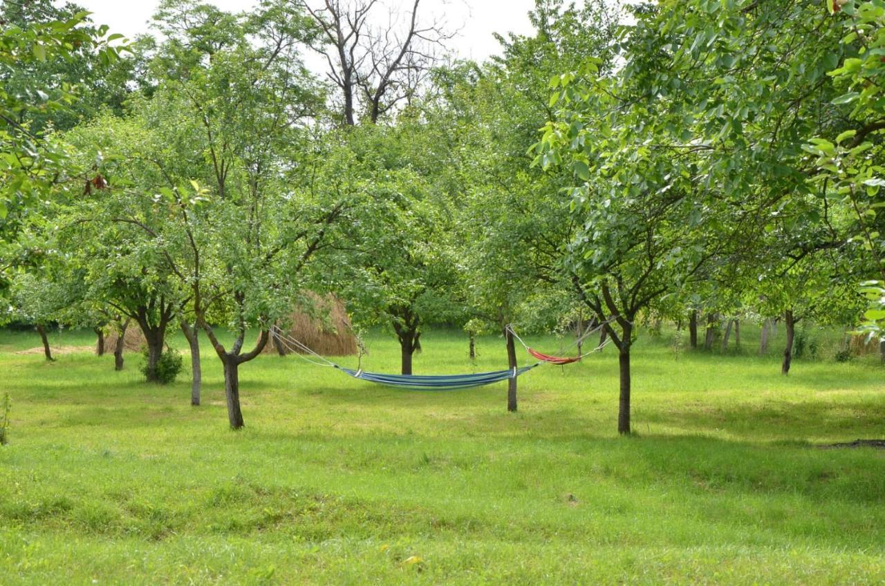 Casa Rurala Cu Livada Lavandra Câmpina Buitenkant foto