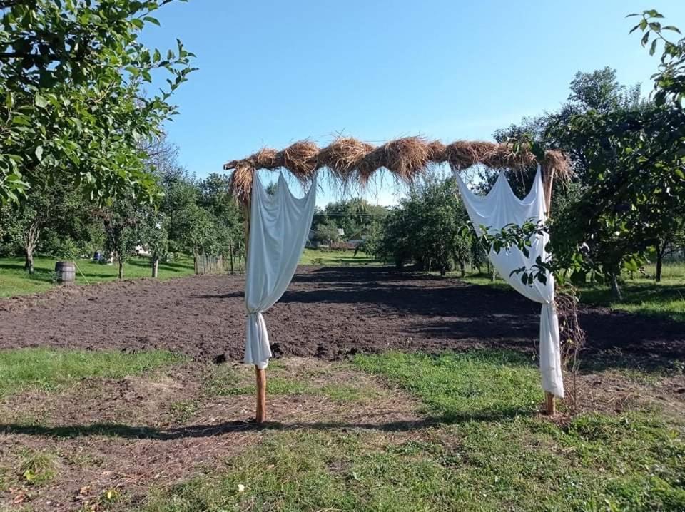 Casa Rurala Cu Livada Lavandra Câmpina Buitenkant foto