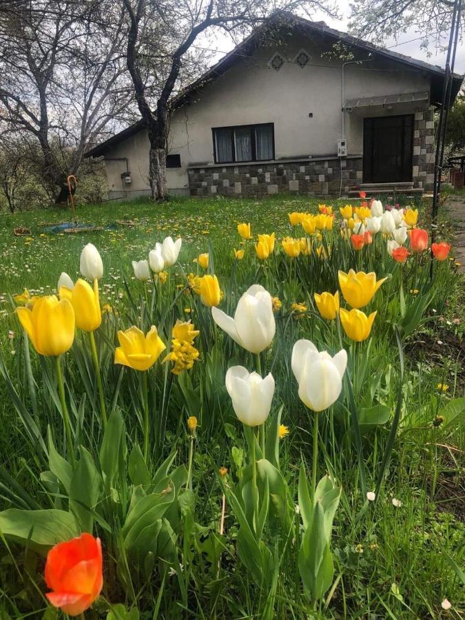 Casa Rurala Cu Livada Lavandra Câmpina Buitenkant foto